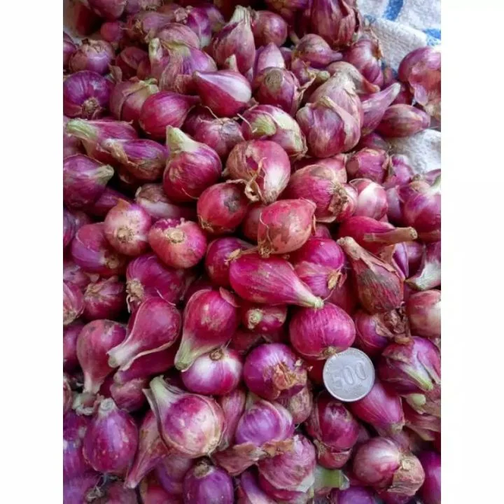 Bawang Merah 250g